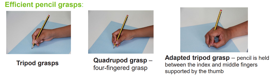 Steps showing hands holding pencil in efficient grasps